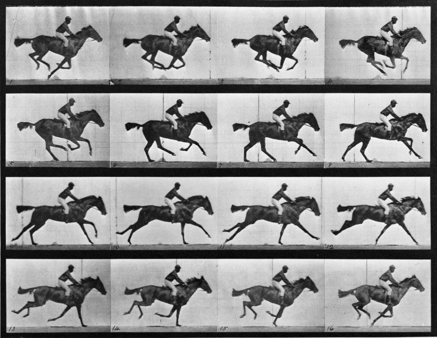 Eadweard Muybridge’s 1878 The Horse in Motion